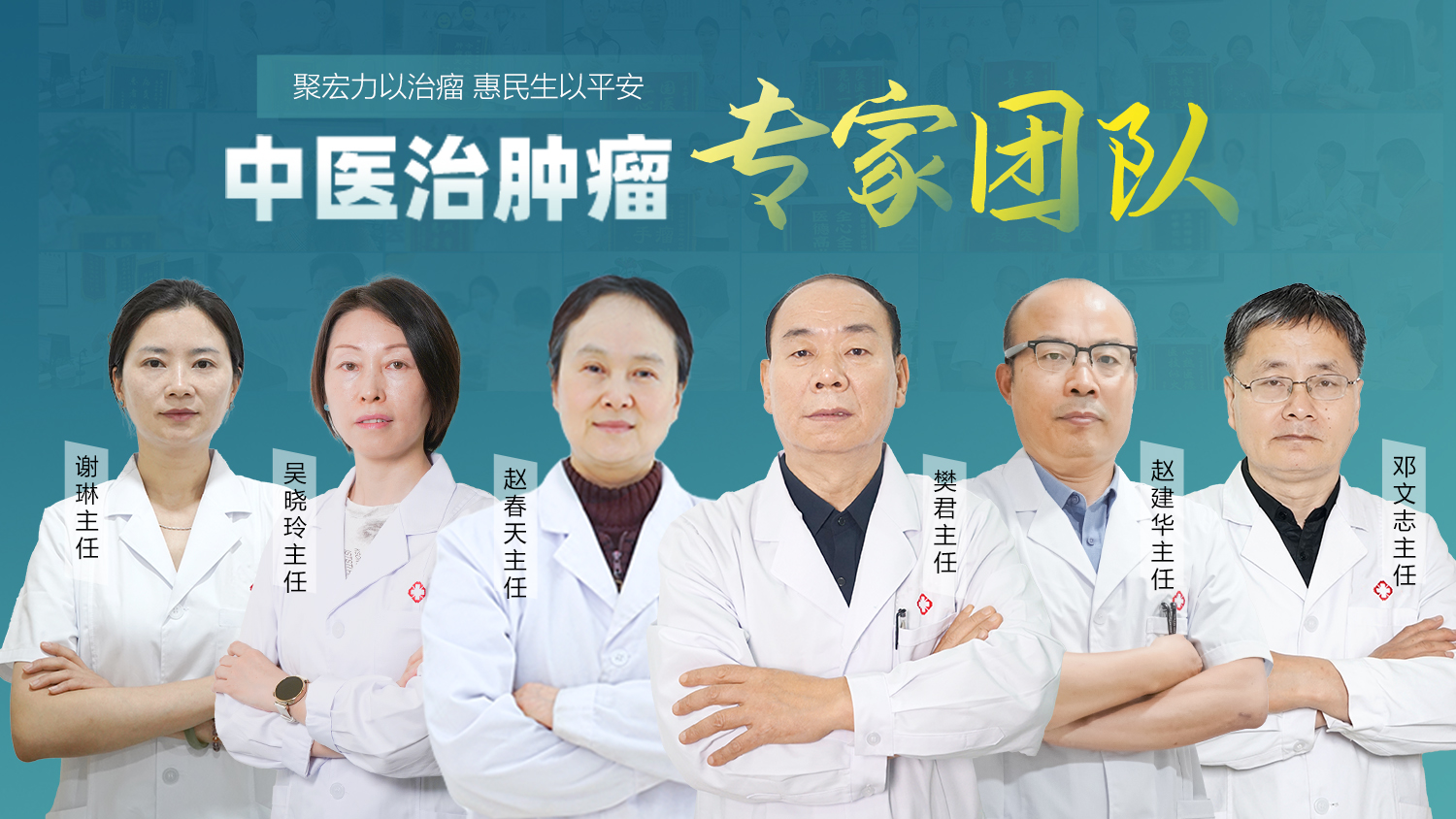 专家合集.jpg