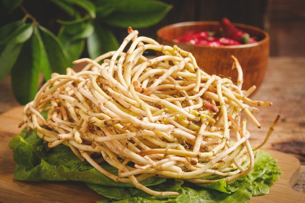 樊君主任：鱼腥草治癌还是致癌？到底能吃吗？