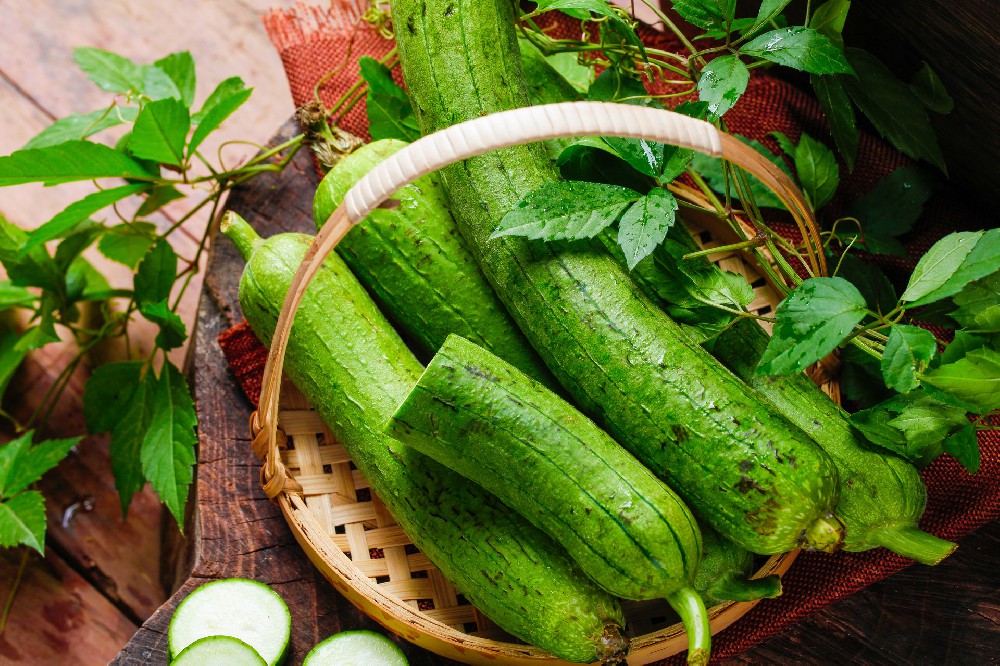 摄图网_501059081_banner_绿色丝瓜采摘（企业商用）.jpg