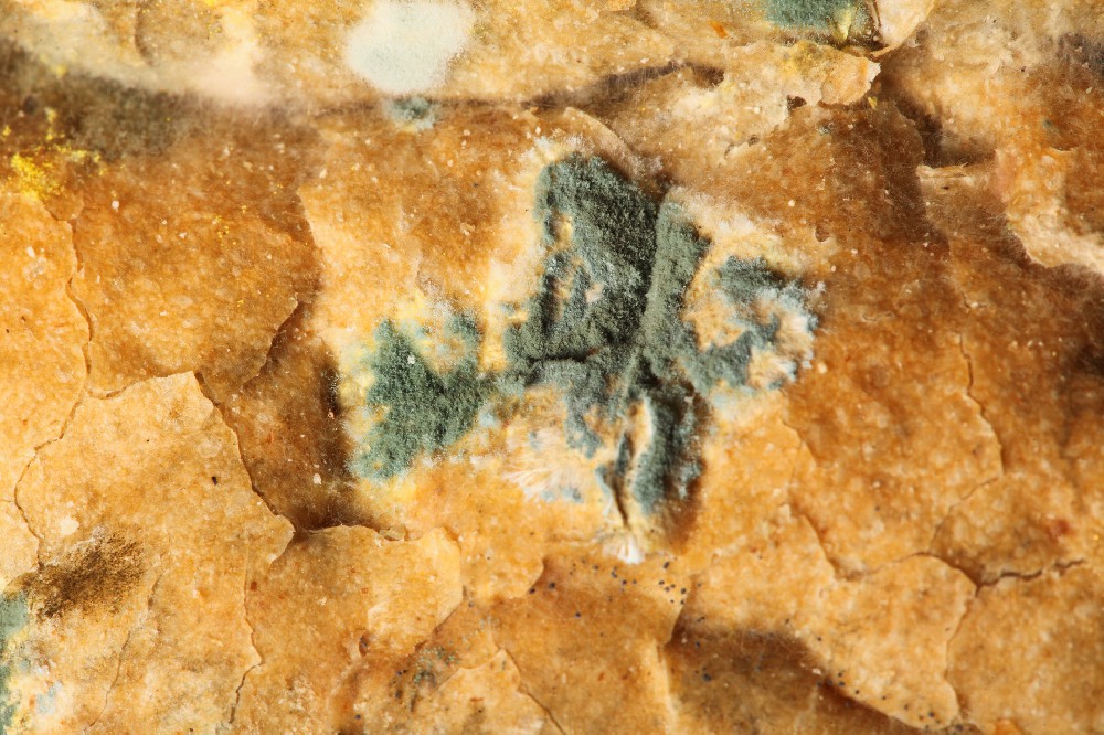 赵建华主任：别等加重才后悔！这 2 种食物越吃越危险，中医教你吃对不踩雷！